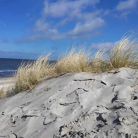Ferien-am-gutshof In - In Ostseenaehe * Velgast